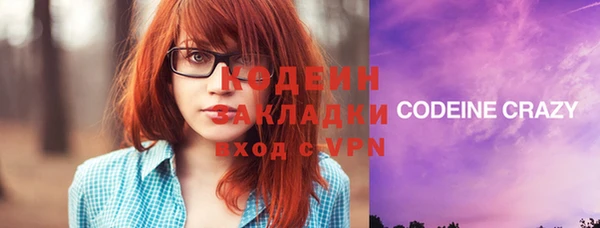гашик Дмитровск