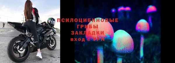 твердый Дмитриев