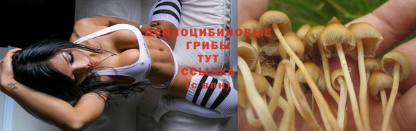 твердый Дмитриев