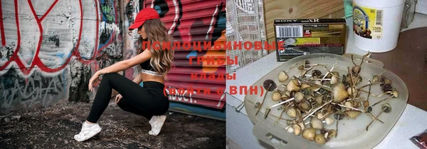 кокаин перу Дмитров
