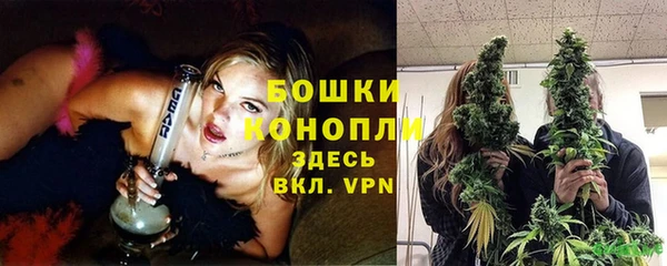герыч Ельня
