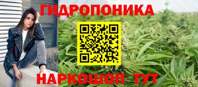 дживик Берёзовский