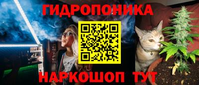 прущие грибы Бийск