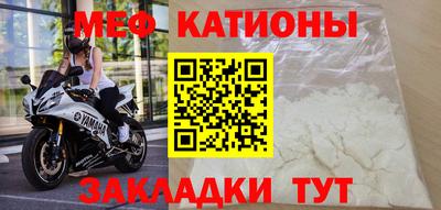 прущие грибы Бийск