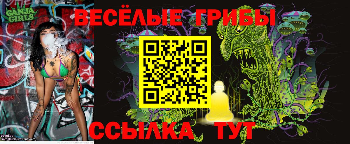 Галлюциногенные грибы прущие грибы Егорьевск
